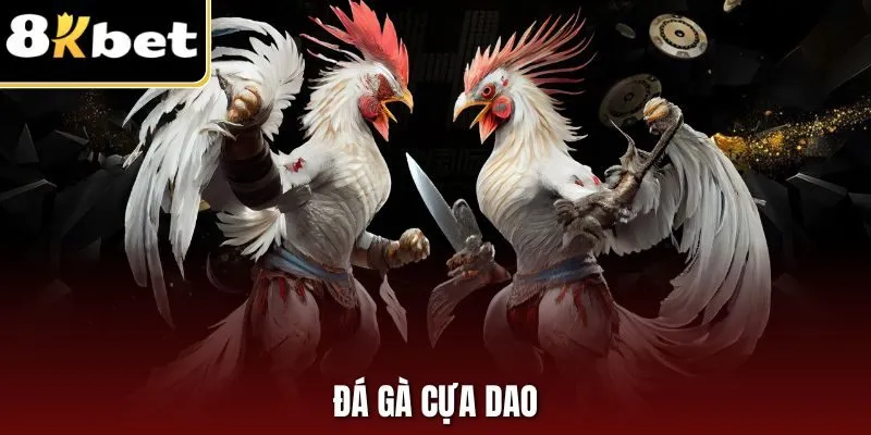 Đá Gà Cựa Dao | Hình Thức Đẫm Máu, Gay Cấn Tại 8KBET