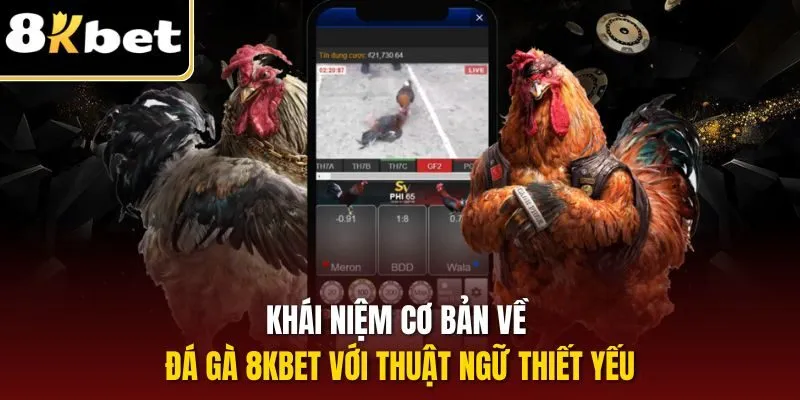 Khái niệm cơ bản về đá gà 8KBET với thuật ngữ thiết yếu