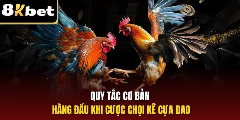Đá Gà Cựa Dao | Hình Thức Đẫm Máu, Gay Cấn Tại 8KBET 2 Quy tắc cơ bản hàng đầu khi cược chọi kê cựa dao